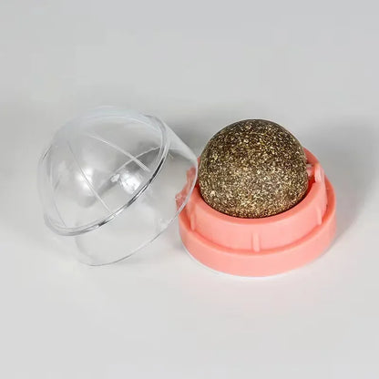 Catnip Wall Ball Toy For Healthy Digestion