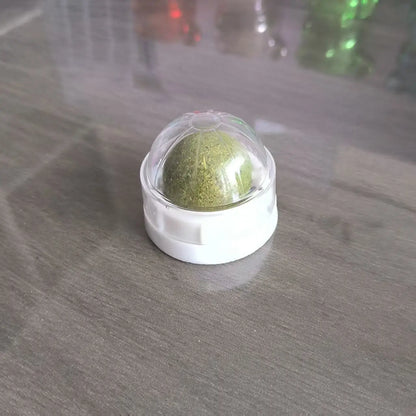 Catnip Wall Ball Toy For Healthy Digestion