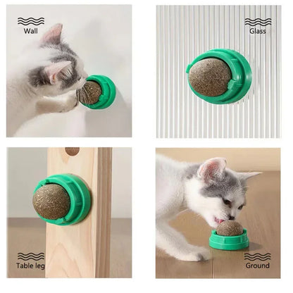 Catnip Wall Ball Toy For Healthy Digestion