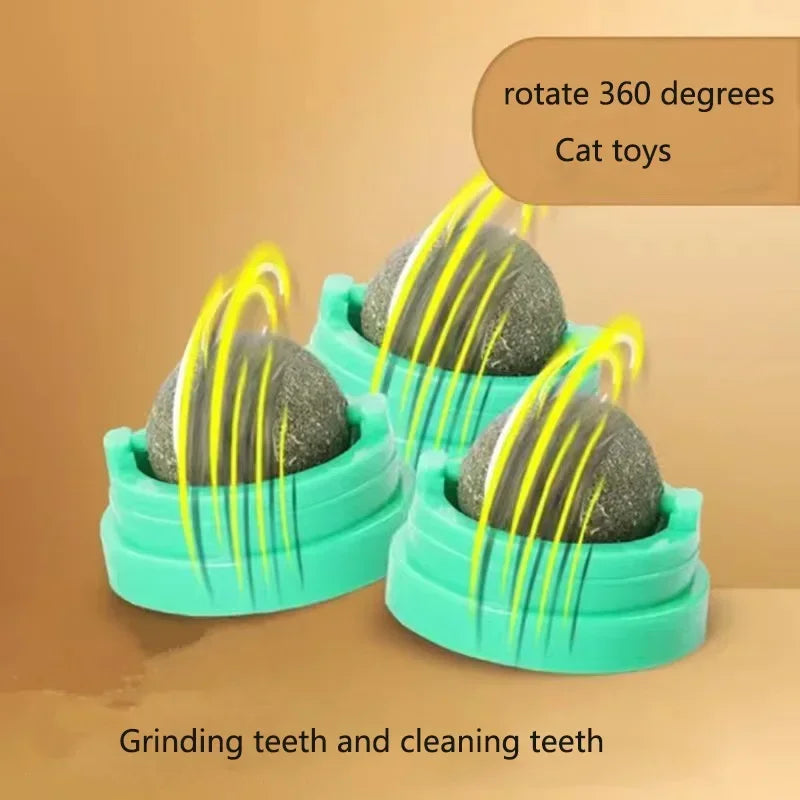 Catnip Wall Ball Toy For Healthy Digestion