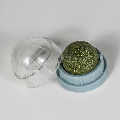 Catnip Wall Ball Toy For Healthy Digestion