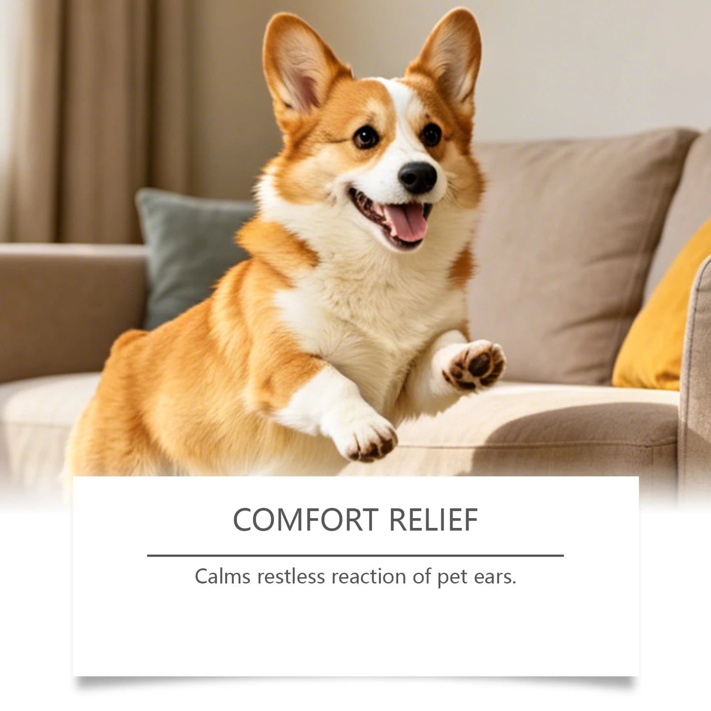 Soothing Pet Ear Drops For Healthy Ears