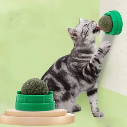 Catnip Wall Ball Toy For Healthy Digestion