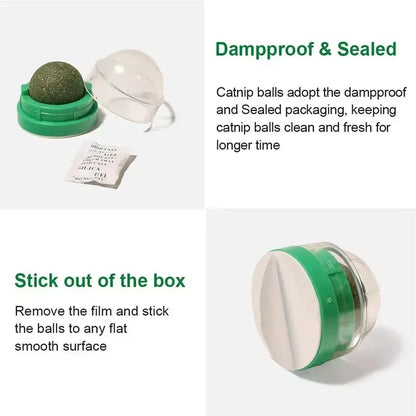 Catnip Wall Ball Toy For Healthy Digestion