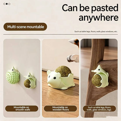 Catnip Wall Ball Toy For Healthy Digestion