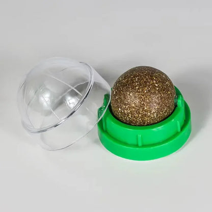 Catnip Wall Ball Toy For Healthy Digestion