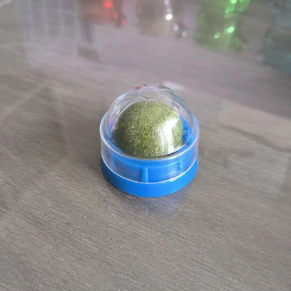 Catnip Wall Ball Toy For Healthy Digestion